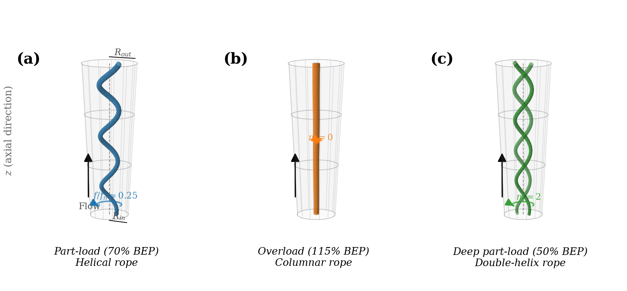 Vortex rope morphologies
